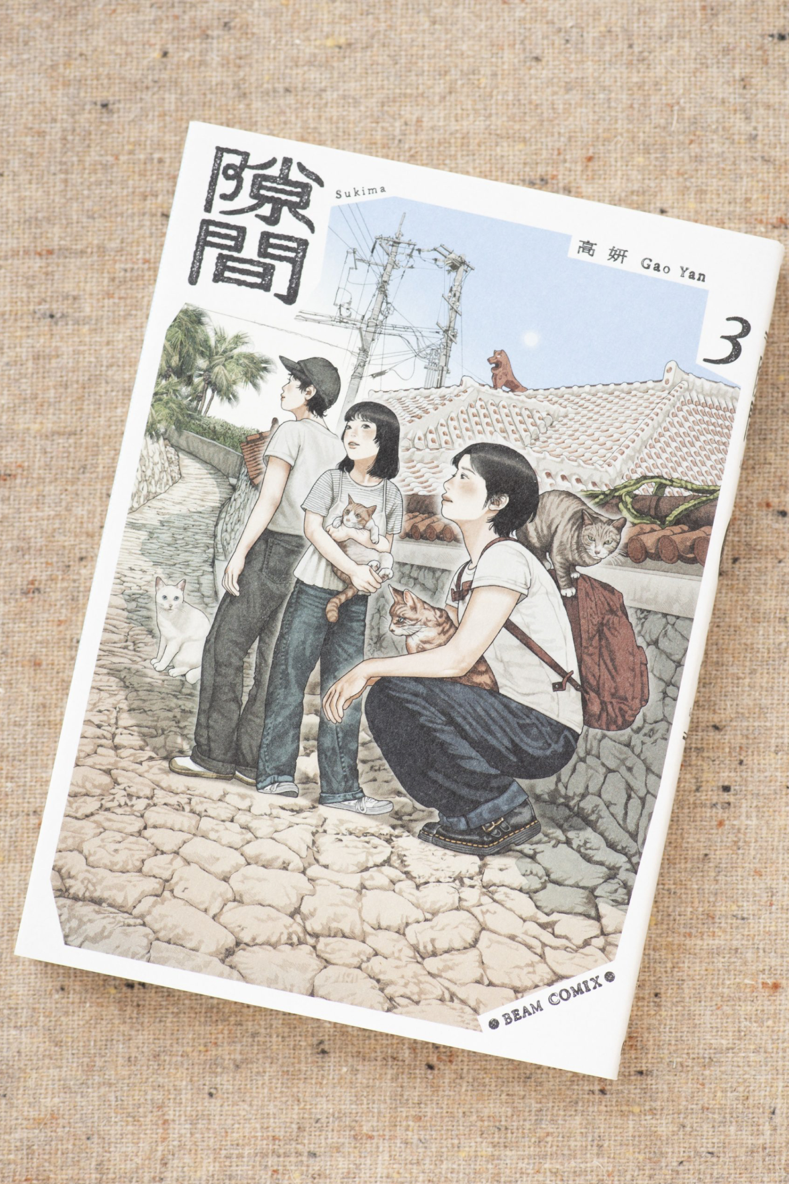 台湾・台北生まれの注目漫画家、高妍が『隙間』で描くもの