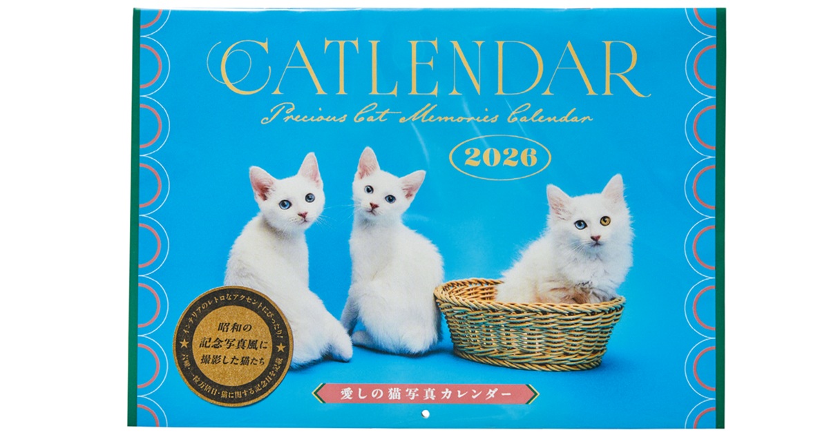 2026年も毎日猫を愛でたい！ ananゆかりの猫さまカレンダー | anan