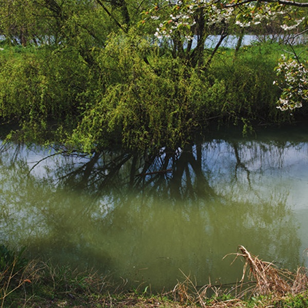オランダと千葉をルーツとする3人の作家が見た風景とは？ 注目の写真展