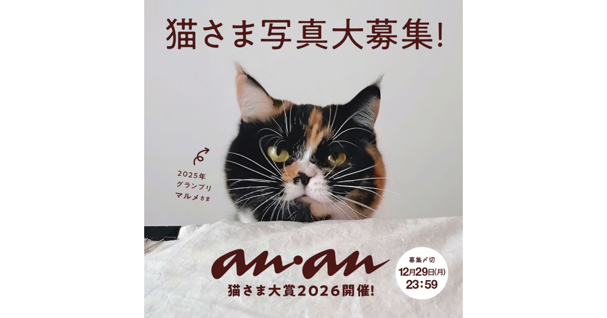 皆さんのにゃんこ写真を待っています！ anan「にゃんこLOVEムック・猫