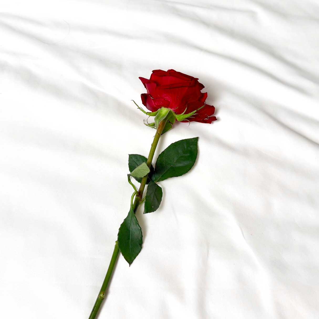 【COVER STORY】なにわ男子・藤原丈一郎さんが約2年半ぶりにソロ表紙に！ 等身大の無邪気さとオトナの色気を纏った“30歳の現在地”を表現