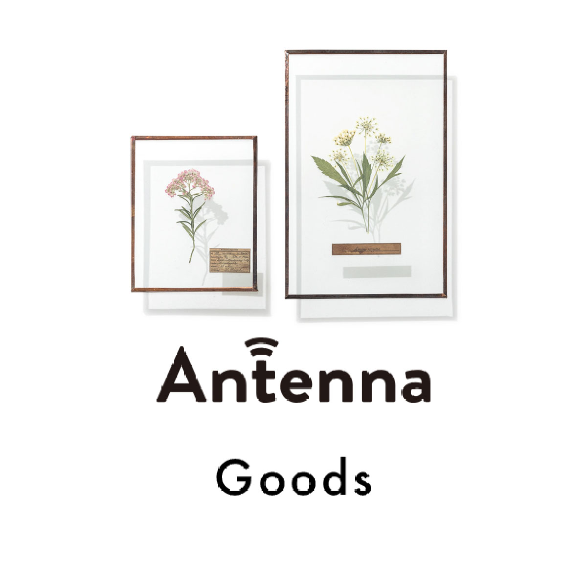 おうちの中でも美しい花を感じたい！ お花にまつわる個性豊かな一品が集結