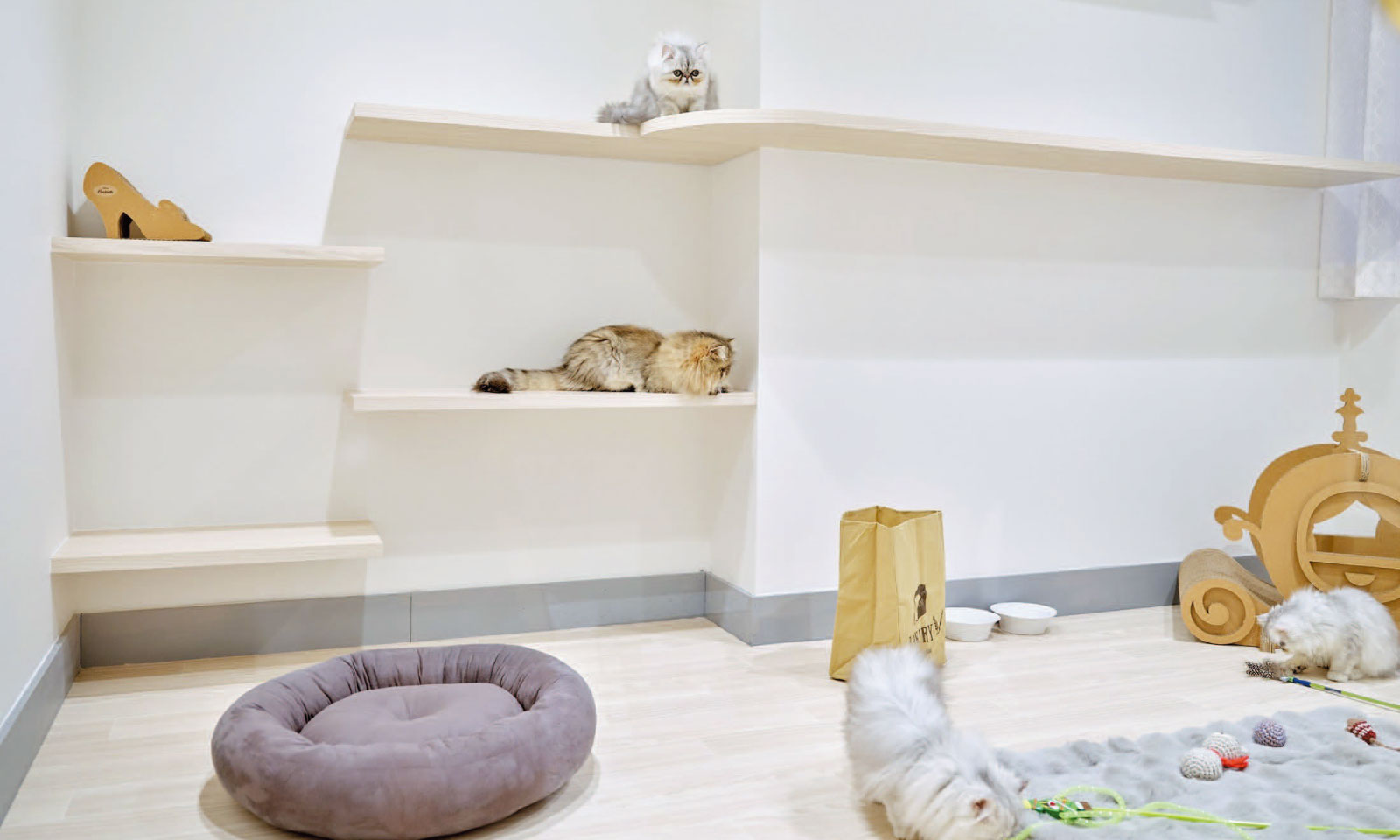 上質な心地よさを叶える。ラグジュアリーな猫さま専用ホテルが誕生