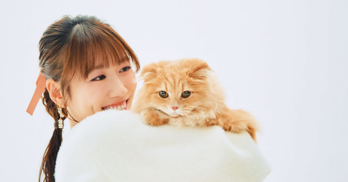 cat_mook260221_takagi_ogp.jpg