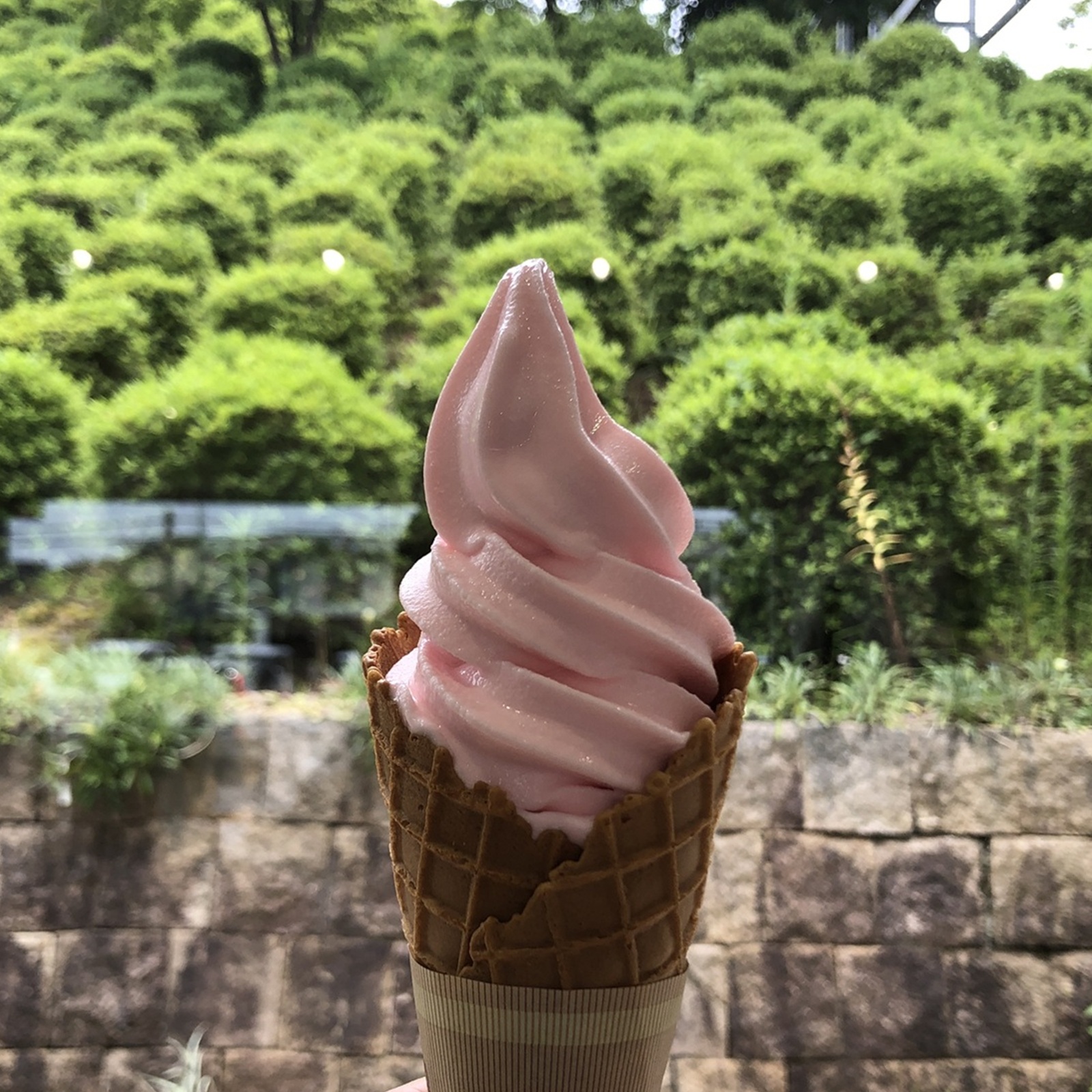 意外性たっぷりなローカルフレーバー。道の駅で出合う“特産アイス”