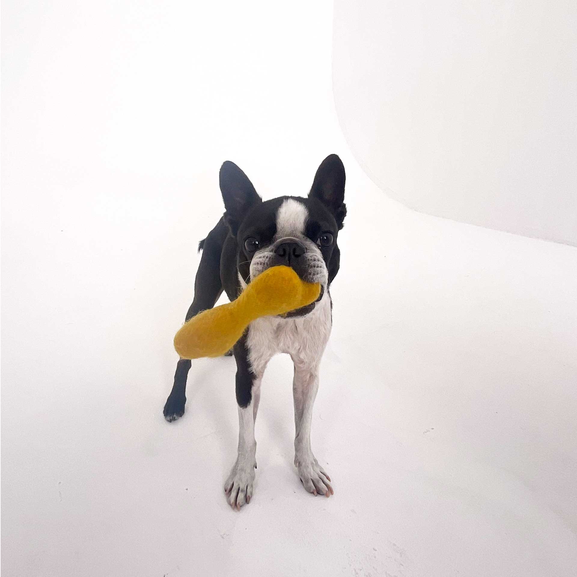 【From Editors】Aぇ! group連載「Aぇ! 男たち」第9回。小島健さんの“最強漢”な魅力を感じた撮影裏話