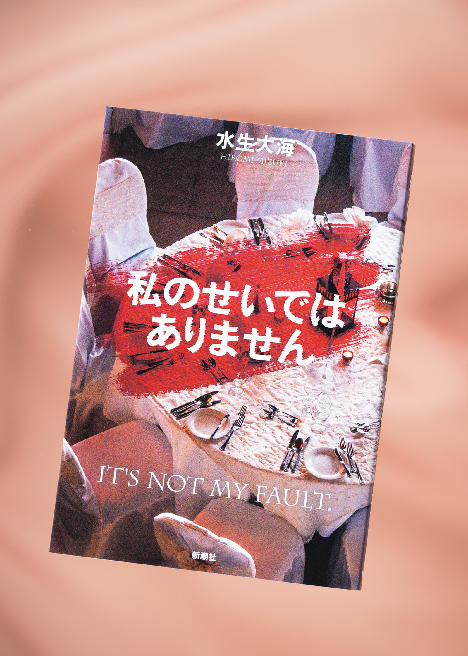 各話で視点人物をかえながら、意外な展開を見せていくスリリングな連作ミステリー『私のせいではありません』