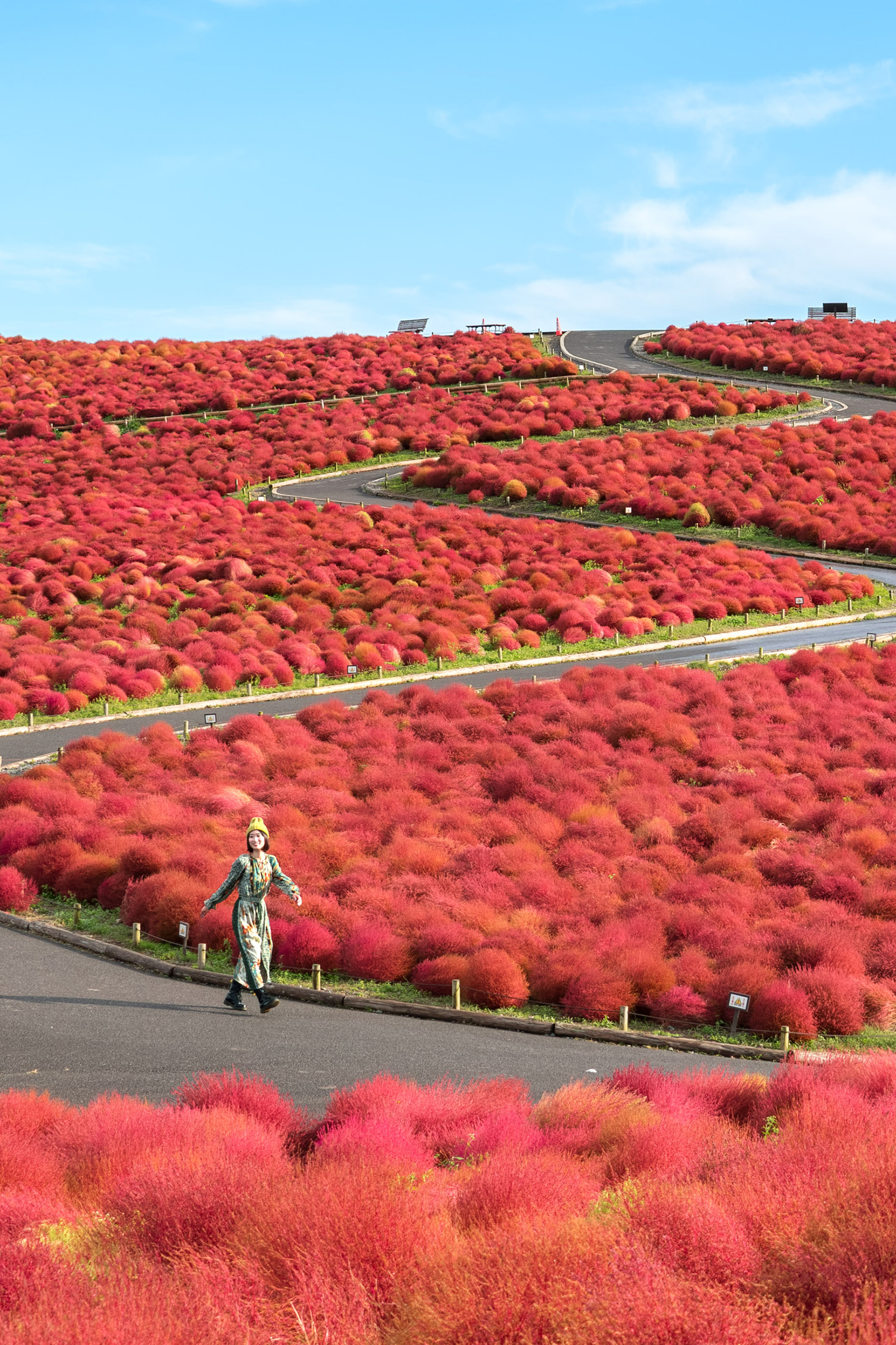 ひとり旅こそ絶景へ行くべき理由。 詩歩さんが教える、旅の心得と厳選7スポット